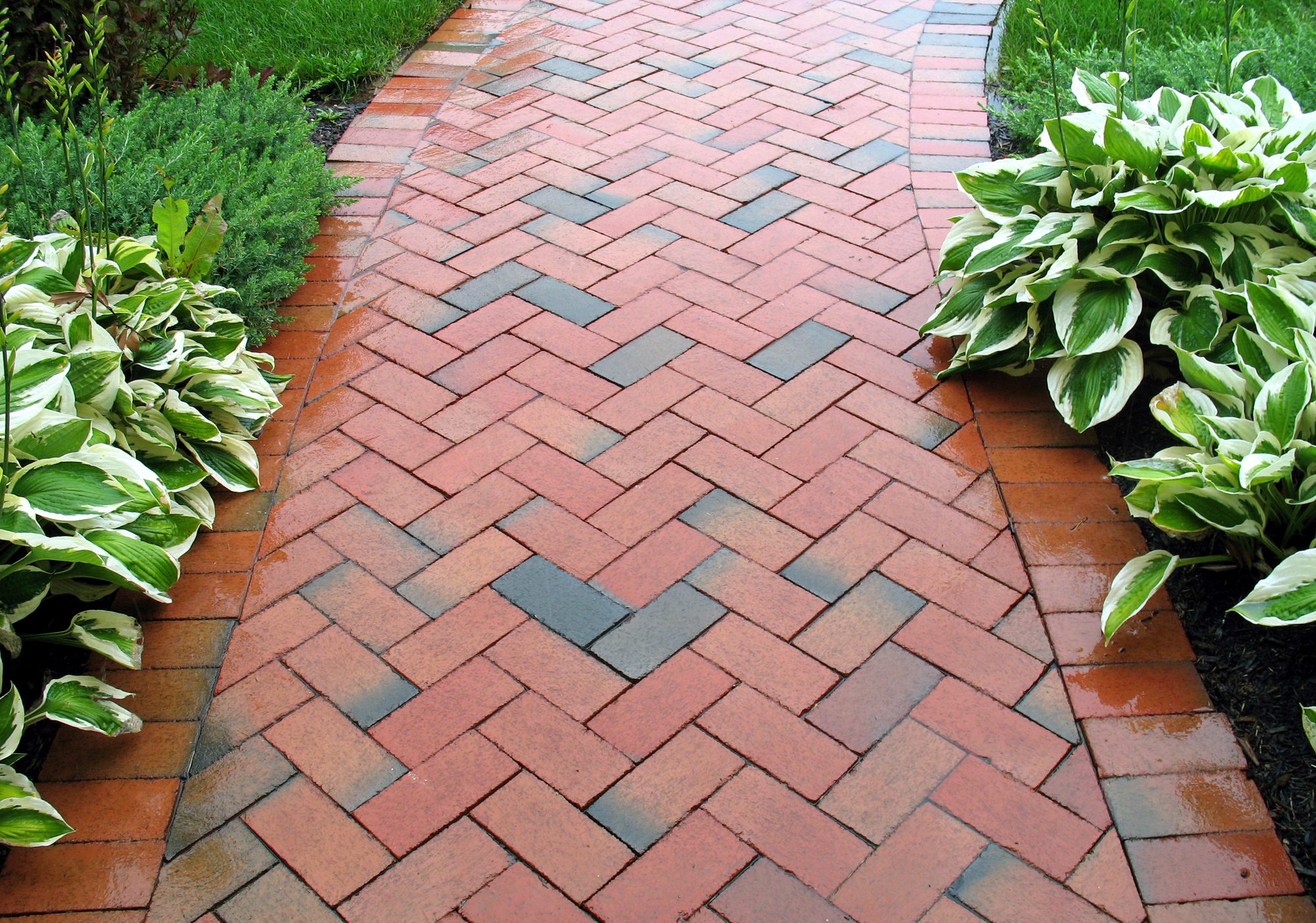Redbrick sidewalk through the backyard